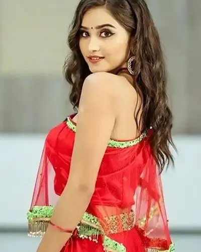 Escort In Udaipur